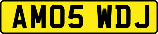 AM05WDJ