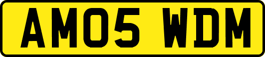 AM05WDM