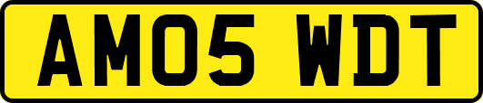 AM05WDT