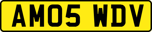 AM05WDV