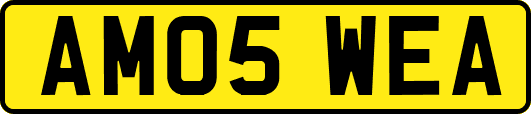 AM05WEA