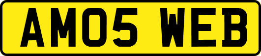 AM05WEB
