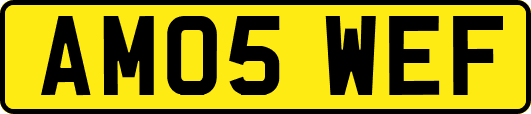 AM05WEF
