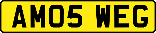AM05WEG