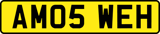 AM05WEH