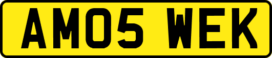 AM05WEK