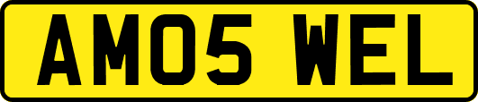 AM05WEL