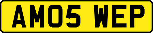 AM05WEP