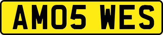 AM05WES