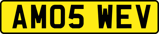 AM05WEV