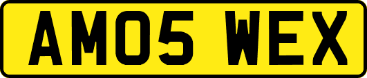 AM05WEX
