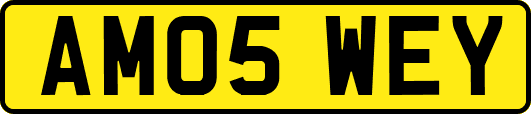 AM05WEY