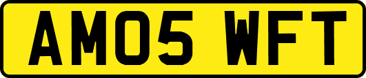 AM05WFT