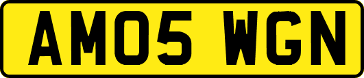 AM05WGN