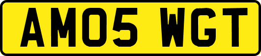 AM05WGT