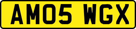 AM05WGX