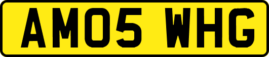 AM05WHG