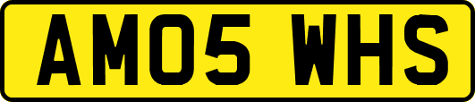 AM05WHS