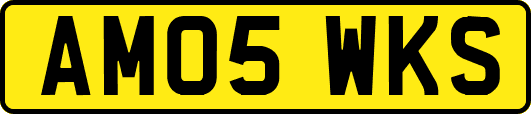 AM05WKS