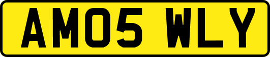 AM05WLY