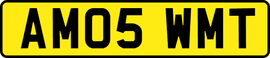 AM05WMT