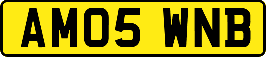 AM05WNB