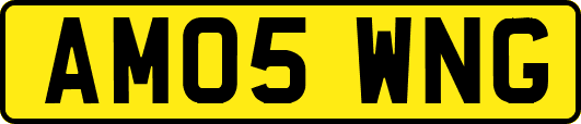 AM05WNG
