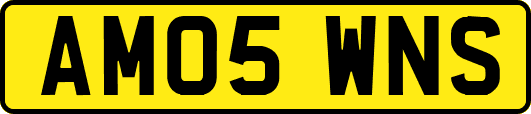 AM05WNS