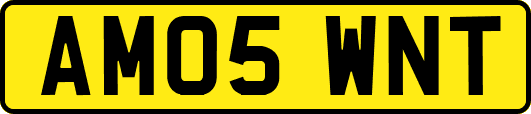 AM05WNT