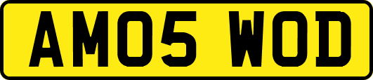 AM05WOD