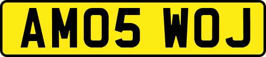 AM05WOJ