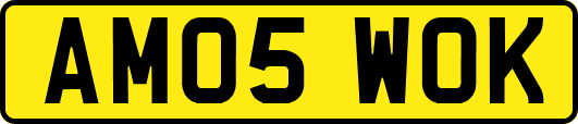 AM05WOK