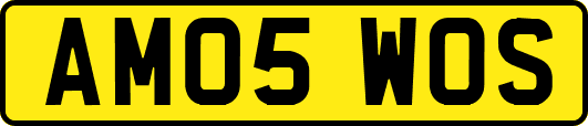 AM05WOS