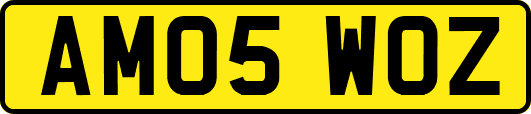 AM05WOZ