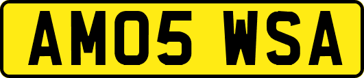 AM05WSA