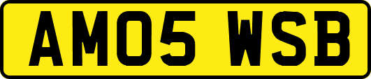AM05WSB