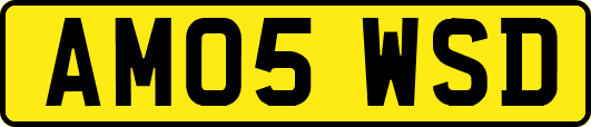 AM05WSD