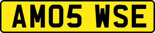 AM05WSE