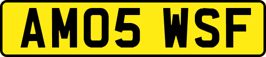 AM05WSF