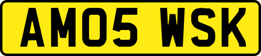 AM05WSK