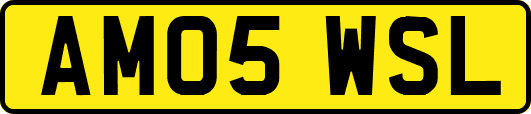 AM05WSL