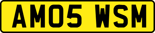 AM05WSM