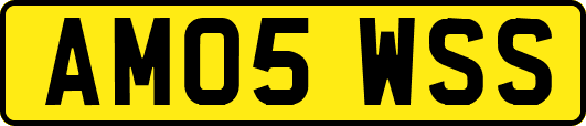 AM05WSS