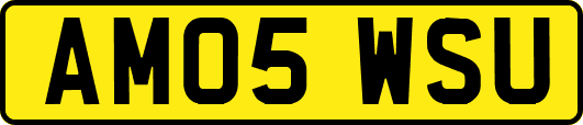 AM05WSU