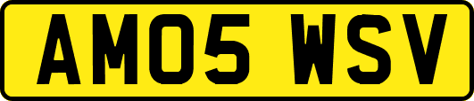AM05WSV
