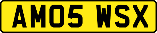 AM05WSX