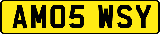 AM05WSY
