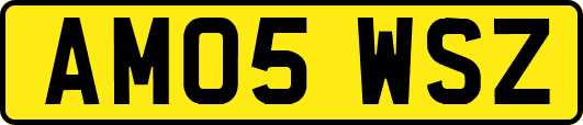 AM05WSZ