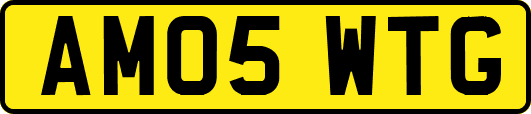 AM05WTG