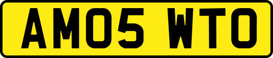 AM05WTO